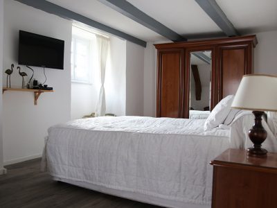 Bedroom, in a guest-room in Besse in Auvergne, with king-size bed and television
