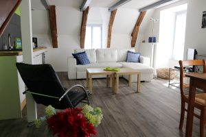 Living-room for 2 or 4 people in Besse, house rental in Auvergne